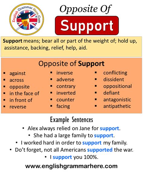 antonyms for support